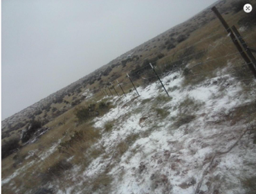 Fences
