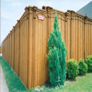 Cedar wood fence