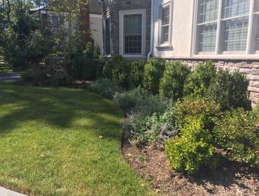 Photos by Rojas Construction and Landscaping #2