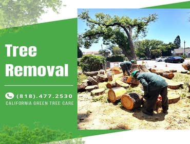 Photos by California Green Tree Care #1
