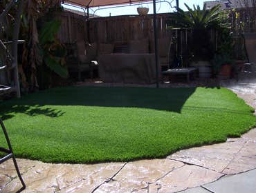The Complete Yard Service Project