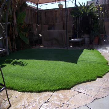 The Complete Yard Service Project