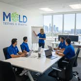 Mold Testing Experts Los Angeles
