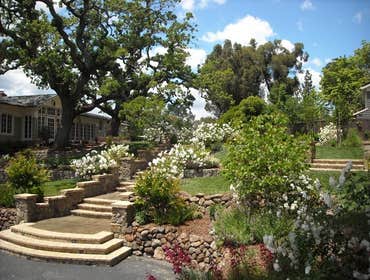 Photos by DEL CONTE'S LANDSCAPING INC #1