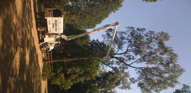 Pruning with the bucket truck