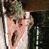 Photos from Browns Outdoor Tree Service