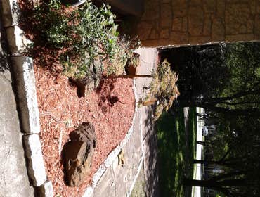 Photos from Browns Outdoor Tree Service