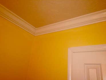 Photos by Shain Painting #1