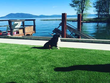 Photos by NorCal Easy Green Synthetic Lawn #1