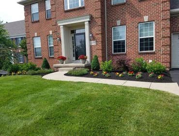 Photos by Jm Landscape and Tree Services #1