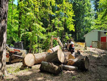 Flores Tree Services General & Landscaping