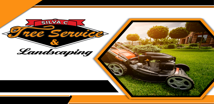 Silva C Tree Service & Landscaping