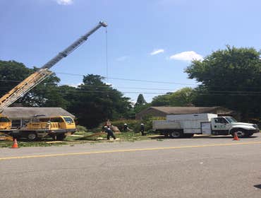 Photo(s) from Bonilla Tree Service Inc