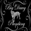 Big Dawg Plumbing LLC logo
