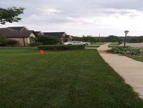 After Tree Removal