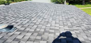 Photos from Tracey Bichon