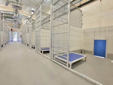 Animal Defense League Kennel Project