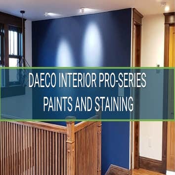 Denver House Painters