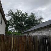 Photos by D.A. Martinez Tree Service #3