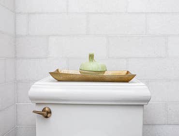 Master Bath Renovation James River RVA 2021