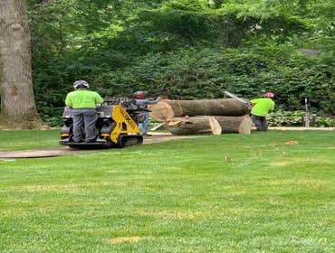 Photos by El Tule Tree Services LLC #6