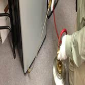 Pest Control Portland