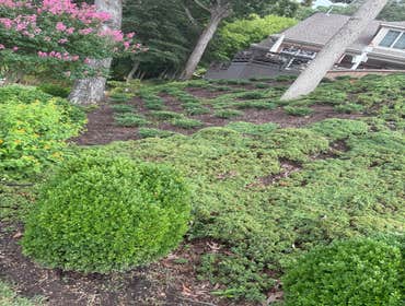 Photos by Beauty Meister Landscaping LLC #2