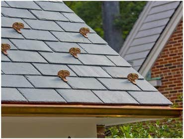 Photos by Dnb Roofing Washington #1