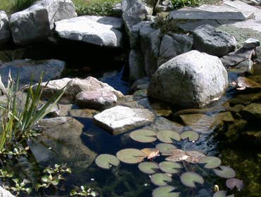 Photo(s) from Landscape Architectural Services Inc
