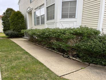 Photos by Mendoza Landscaping & Lawn Service LLC #12