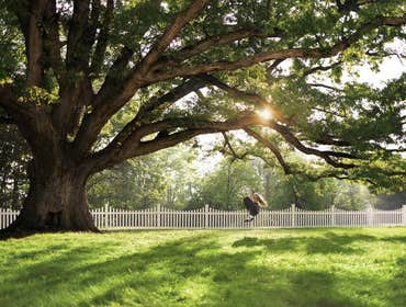 Fences