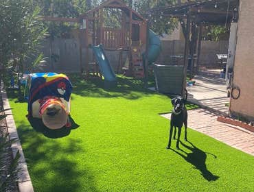 Photos by Luxe Lawns #1