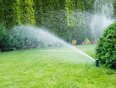 Photos by Ocote Landscaping #1