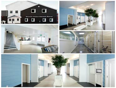 Commercial Tenant Improvements