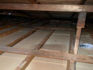 Rodent Treatment & Insulation Service