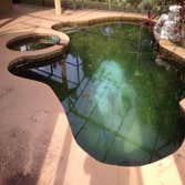 Swimming Pool Maintenance
