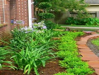 Projects by Landscape Update Company Houston Residential Design | Updating Installation