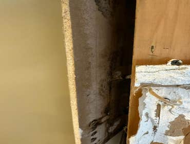 Water Mitigation This project was a roof leak the photos show initial inspection to post demo.