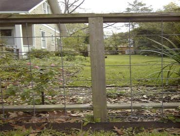 Wood Fence
