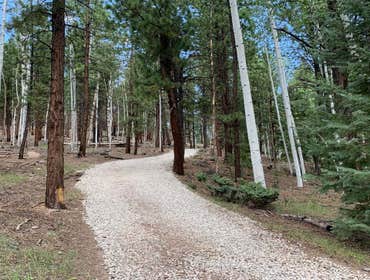 Photos by Danny Ray Construction LLC #3 Delivered and graded driveway rock.