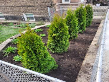 Photos by Rafael Landscaping Inc #5