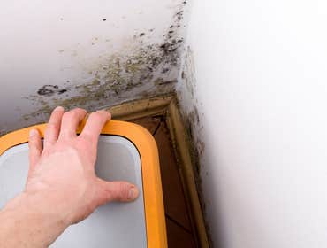 Photos by Big Peach Mold Inspections #1