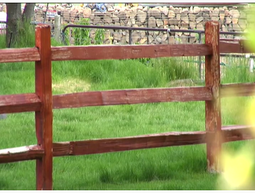 Wood Fence