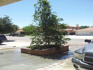 Photos from Sun Up Till Sun Down Landscaping Completed jobs