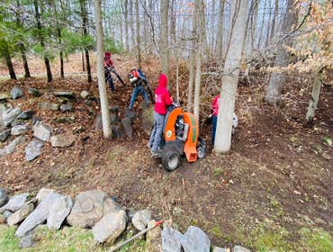 Photos by Diaz Tree Service & Landscaping LLC #6