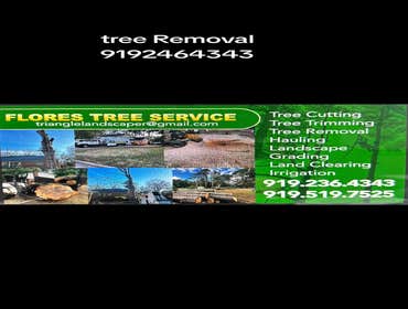 Flores Tree Services General & Landscaping
