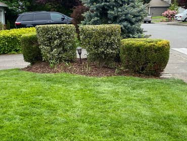 Photos by Hernandez Landscaping #1