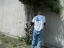 Tree Removal