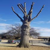 Photos by K&r Tree Service LLC #1