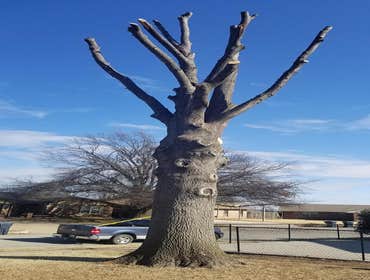 Photos by K&r Tree Service LLC #1
